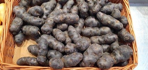 Black potatoes or purple potatoes close-up. Potato varieties Vitelotte, Vitelotte Noire, Négresse, Truffe de Chine, Blue French truffle potatoes. Rare potato strain. Expensive elite potatoes. Healthy.