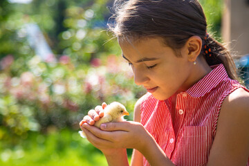A child plays with a chicken. Selective focus.