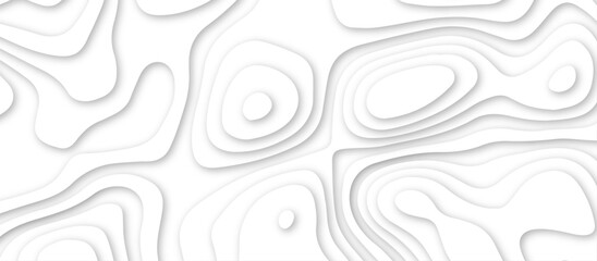 Abstract geometric layered curve line white background. 3d render, paper cut vector art background banner texture. multi layer cutout geometric patterns with smooth wavy layer. white background.