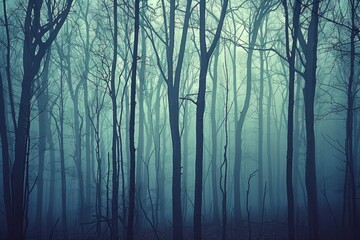 Dense fog blankets a forest, obscuring the trees with an eerie atmosphere