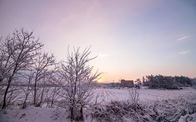 landscape view of  sunrise and snow covered trees in Gwangju, South Korea. 