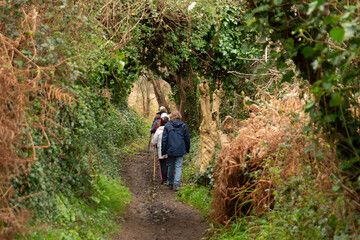 Fototapeta premium Groupe de randonneurs seniors en Bretagne