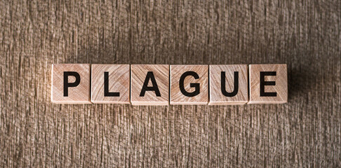 The Word Plague Spelled in Scrabbled Wood Blocks
