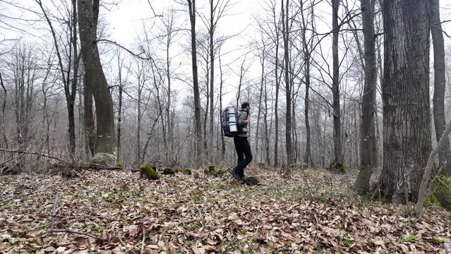 Solo camper hiker walks in the middle of a forest with his camping backpack.