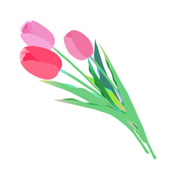 ピンクのチューリップのイラスト