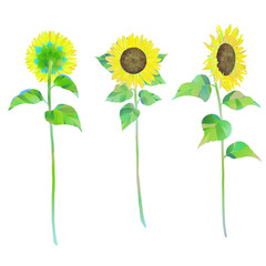 ひまわりのイラスト