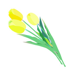 黄色のチューリップのイラスト