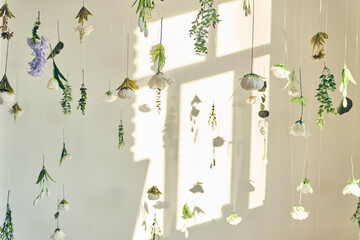 Artificial flowers levitating, hanging flowers on a white background, white wall with window...