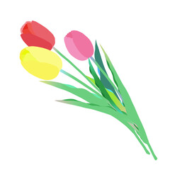 カラフルなチューリップのイラスト