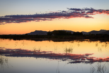 BELLO ATARDECER EN LA MARJAL DEL REALENCH. SAGUNTO. VALENCIA. COMUNIDAD VALENCIANA. ESPAÑA. EUROPA