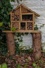 Photography of insect habitats: photo of insect habitats for commercial use. Ecological concept