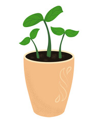 Orange texture ceramic pot with young plants. Gardening, growing flowers, caring for plants. Vector isolated realistic drawing