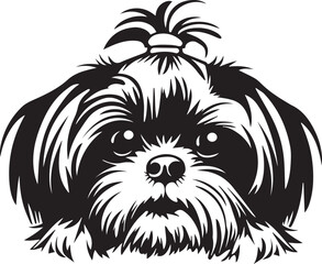 black and white peeking shih tzu puppy
