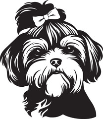 black and white shih tzu dog with bow