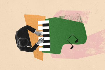 Creative image picture collage man piano player keyboard musician artist concert hobby...