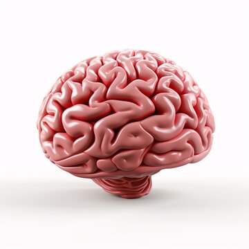 a close up of a brain