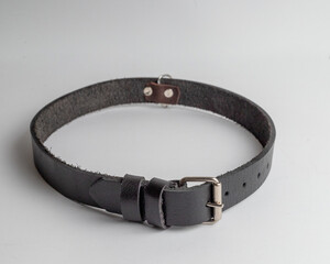 Leather dog belt isolated on white background, product photography