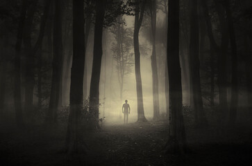 scary forest scene, man silhouette in fog at night - 763210687