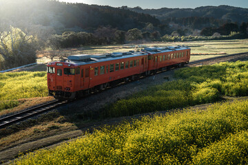 石神の菜の花畑と小湊鉄道・千葉県