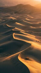 Fototapeta na wymiar Golden Hour Over Desert Dunes: A Captivating Aerial Perspective of a Serene Desert Landscape