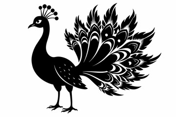 Peacock vector silhouette white background