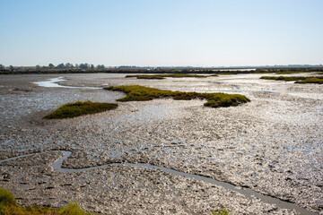 Marshes of a tidal marsh on the Spanish Atlantic coast, home to numerous species of birds. Huelva,...