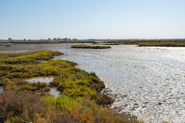 Marshes of a tidal marsh on the Spanish Atlantic coast, home to numerous species of birds. Huelva,...