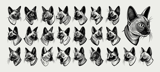 Collection of tonkinese cat head in side view silhouette design
