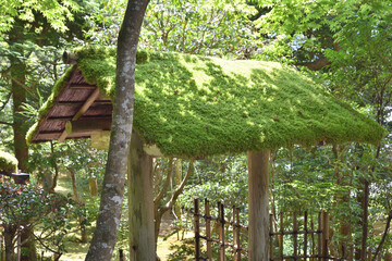 寂光院の苔屋根の門