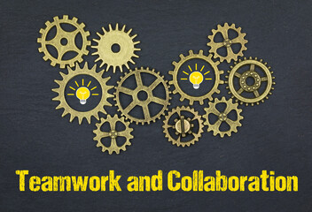 Teamwork and Collaboration	

