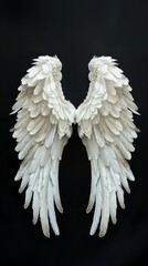 Obraz premium Two White Wings on a Black Background