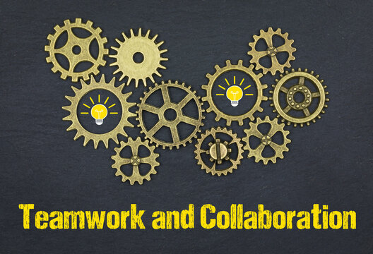 Teamwork and Collaboration	
