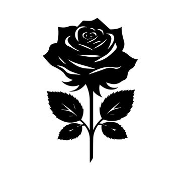 a silhouette of a rose on a white background