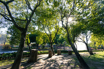 Landscape in the park, shady trees, and garden. It is a place to relax and feel nature in the middle of the city.