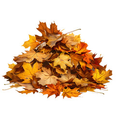 Pile of autumn leaves isolated on white or transparent background 