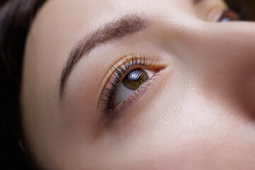 Close-up of the model's eyes between the eyelashes permanent makeup. PMU eyelashes, permanent eye...