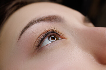 Macro photo of an eye with permanent eyelash makeup. PMU eyelashes, permanent eye makeup