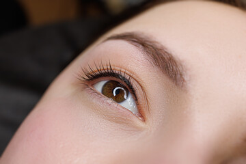 Photo eyelashes immediately after permanent makeup. PMU eyelashes, permanent eye makeup