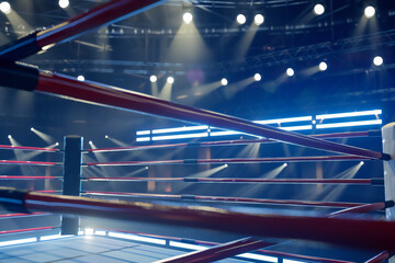 Arena Boxing Ring close view