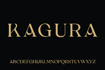 Classic luxury display font vector