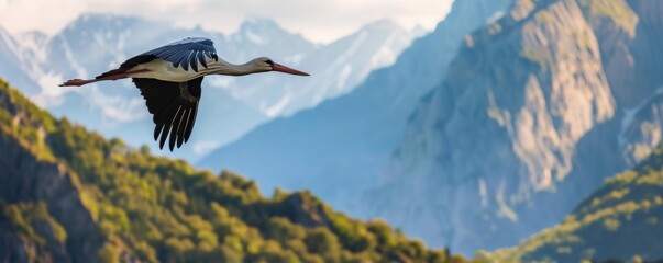 Stork in flight against mountains - obrazy, fototapety, plakaty