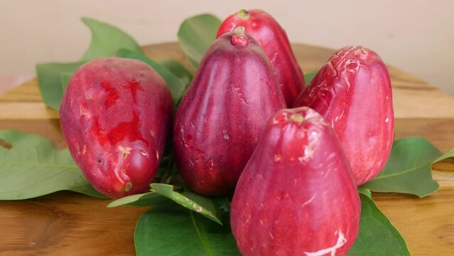 Malay Apple (Syzygium malaccense) also known as Jambu Bol or Jambu Jamaica in Indonesia