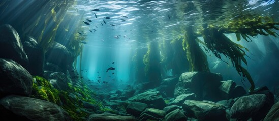 A school of fish gracefully navigates the dark underwater forest, surrounded by terrestrial plants...