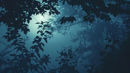 Fototapeta na wymiar Moonlight through forest foliage