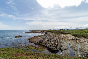 A rocky coastline with greenery under a partly cloudy sky, exuding natural beauty and tranquility.