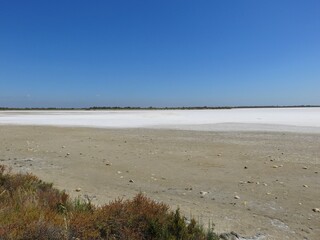 camargue