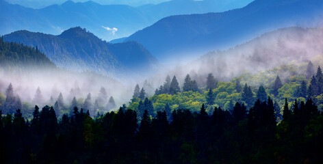 Beautiful landscape with cascade blue mountains at the morning - View of wilderness mountains...