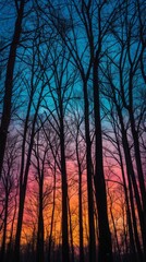 Fototapeta premium Silhouetted trees against a vibrant sunset sky