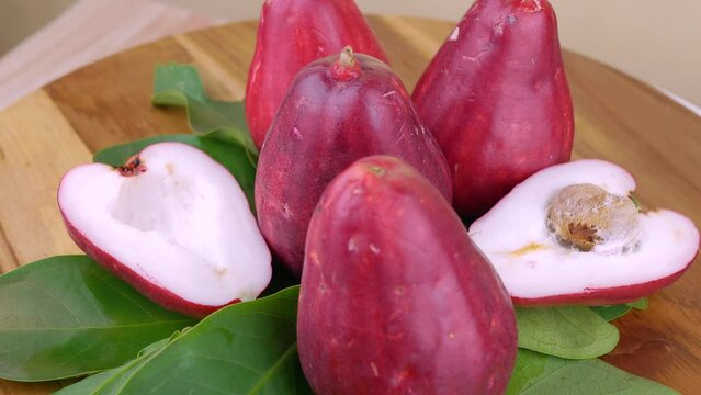 Malay Apple (Syzygium malaccense) also known as Jambu Bol or Jambu Jamaica in Indonesia