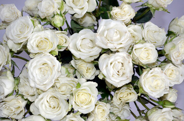 Fototapeta premium White Roses Bouquet. White Roses Background.